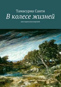 Тамасуриа Санти - В колесе жизней. Мистерия воплощений