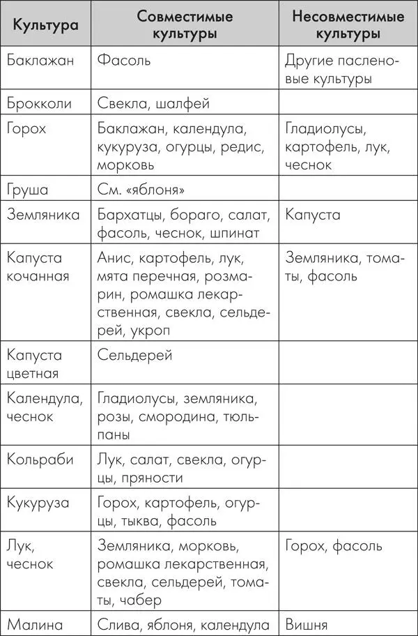 Разумная теплица Главная книга о раннем урожае от Галины Кизимы - фото 10