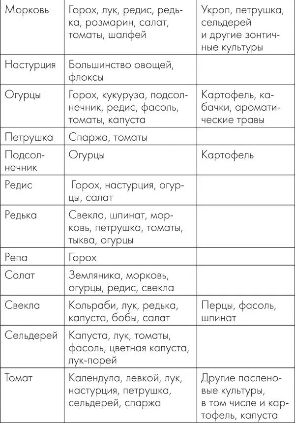 Предшественники Землянику нельзя сажать после картофеля томатов огурцов - фото 11
