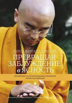 Хелен Творков - Превращая заблуждение в ясность. Руководство по основополагающим практикам тибетского буддизма.