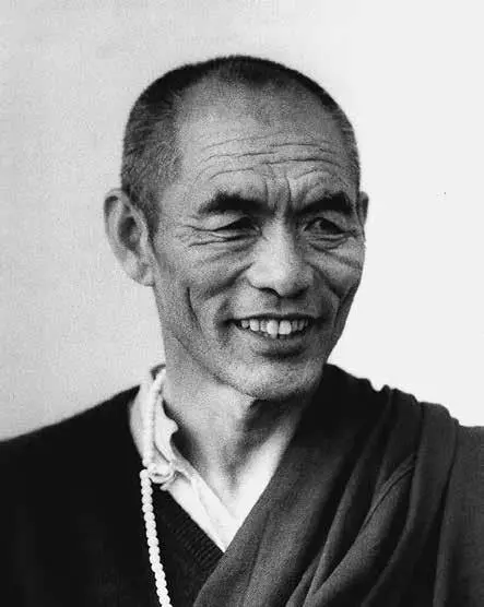 Ньошул Кхен Ринпоче около 1988 Однако следующие два года я по большей части - фото 12