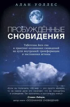 Алан Уоллес - Пробуждённые сновидений: тибетская йога сна и практика осознанных сновидений на пути внутренней трансформации и постижения истины