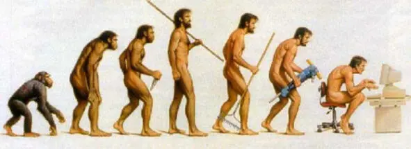 Эволюция человека от Homo Sapiens до Homo Computerus Офис опасен для здоровья - фото 5