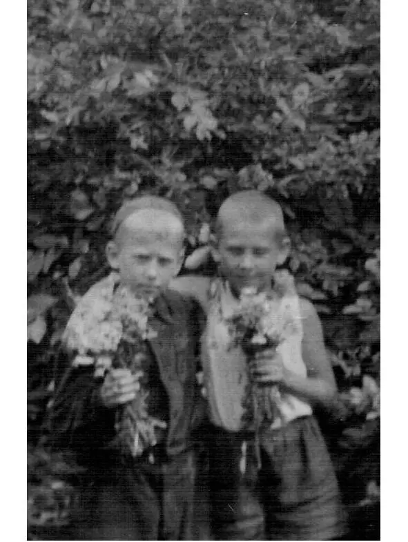 Вдвоем мальчишки убегали к прудам В июне когда купаться еще холодновато они - фото 11