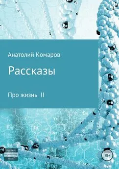 Анатолий Комаров - Рассказы про жизнь 2