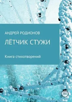 Андрей Родионов - Лётчик стужи