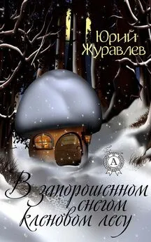 Юрий Журавлев - В запорошенном снегом кленовом лесу