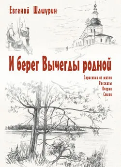 Евгений Шашурин - И берег Вычегды родной (сборник)