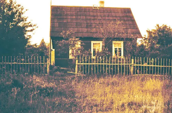 Дом в деревне Белое который родители строили в течение нескольких лет У - фото 17