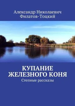 Александр Филатов-Тоцкий - Купание железного коня. Степные рассказы