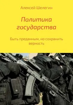 Алексей Шелегин - Политика государства