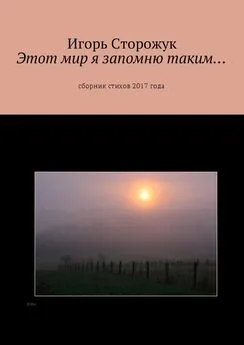 Игорь Сторожук - Этот мир я запомню таким… Сборник стихов 2017 года