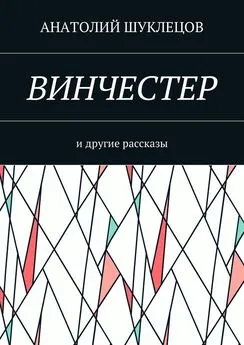 Анатолий Шуклецов - Винчестер. И другие рассказы