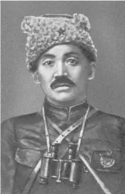 Начальник дивизии О И Городовиков Начальник дивизии С К Тимошенко - фото 14
