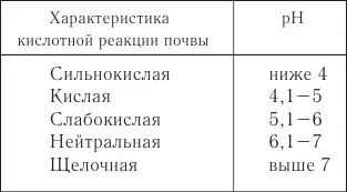 5 Как определить кислотность почвы Для определения кислотности почвы проще - фото 1