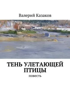 Валерий Казаков - Тень улетающей птицы. Повесть