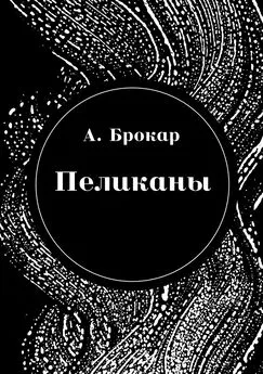 Антон Брокар - Пеликаны