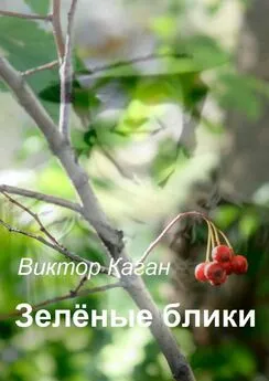 Виктор Каган - Зелёные блики