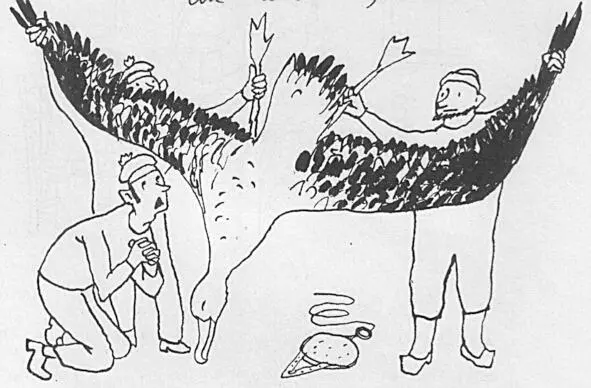 7 декабря 1972 Появились стаи антарктических птиц Гигантские буревестники - фото 31