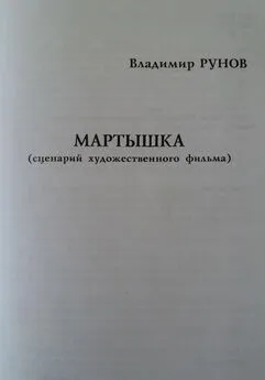 Владимир Рунов - Мартышка