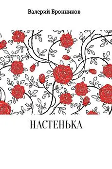 Валерий Бронников - Настенька