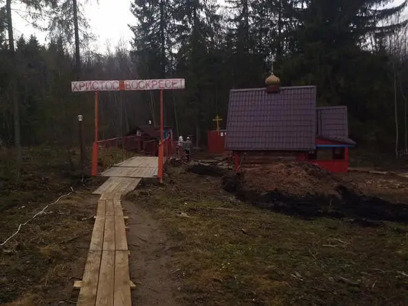 30515 Целый день ни посёлка ни магазина ни заправки Погода - фото 42