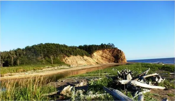 Записки сахалинского таёжника Фоторасказы 2016 Полуостров Шмидта Мысы Марии Елизаветы река Воловская Пильво - фото 26