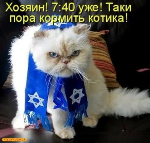 Когда дует ветер выше всего вздымается мусор Где открываются оффшоры туда и - фото 22