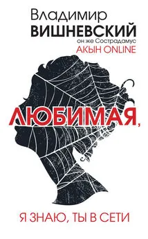 Владимир Вишневский - Акын online. Любимая, я знаю, ты в сети