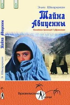 Элиу Шварцман - Тайна Авиценны. Похождения бразильцев в Афганистане