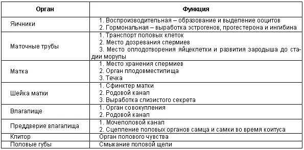 В иннервации органов размножения самок участвуют симпатическая и - фото 4