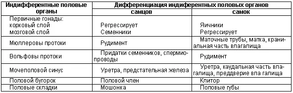 Половые железы закладываются на внутренней поверхности первичной почки - фото 9