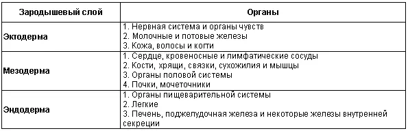 Плодный период начинается с 30го дня беременности В это время плод быстро - фото 21