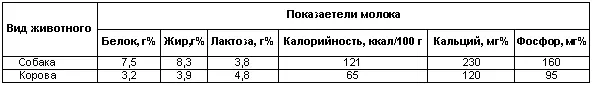 Состав молочной смеси домашнего приготовления для вскармливания щенков свежее - фото 28