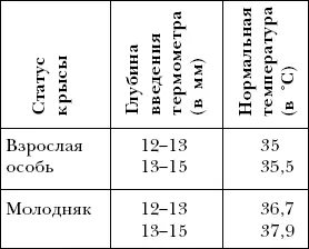 Если вы принесли транспортировочную клетку с улицы с мороза то не ставьте ее - фото 33