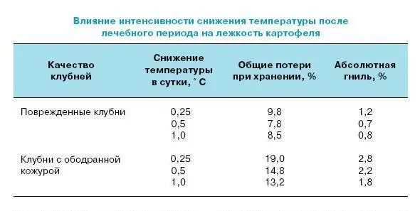 Таким образом если на клубнях имеются сильные механические повреждения - фото 64