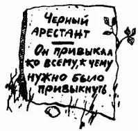 Молочное хозяйство тюрьмы поставляло молоко масло сливки сыр и мороженое не - фото 76