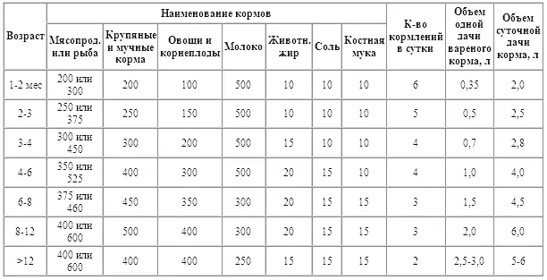 В связи с характером работы борзых физическая тренировка молодняка и взрослых - фото 24