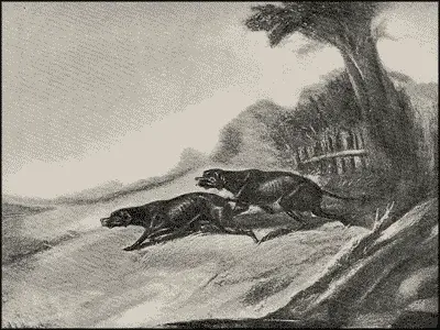 Черные пойнтера Картина масляными красками художника С F Newton 1827 года - фото 27