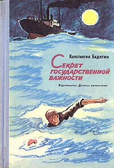 Константин Бадигин - Секрет государственной важности