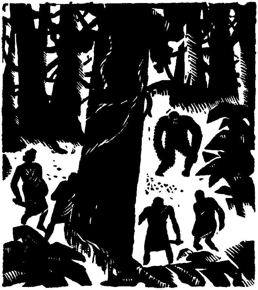 Снова в море Каюта была полна кубками амфорами с драгоценными камнями и - фото 55