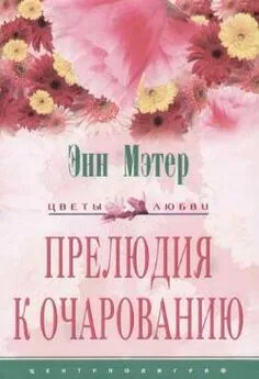 Энн Мэтер - Прелюдия к очарованию