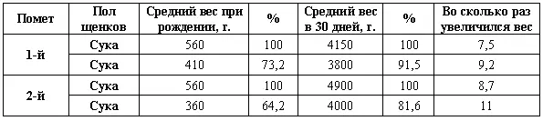 Выращивание помета под матерью требует большого умения Тут на помощь - фото 69