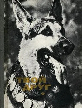 К. Глиер - Твой друг (Сборник по собаководству, 1973 г.)