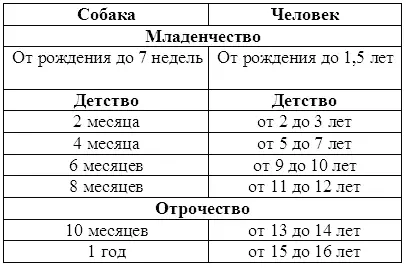 Эта схема довольно точно передает эквивалент собачьего разума в переложении на - фото 1