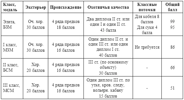 Результаты бонитировки объявляются в ринге комплексной оценки Здесь собак - фото 7