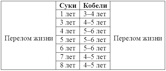 Во время вязки в силу особого устройства половых органов между кобелем и - фото 24