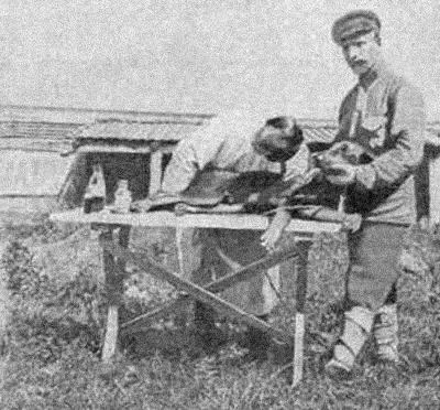 Рис 33 Выслушивание собаки 4 Дезинфицирующие средства Креолин лизол 1 - фото 40