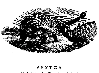 Ankylosauria Euoplocephalus Это гигантское животное может быть самое - фото 9