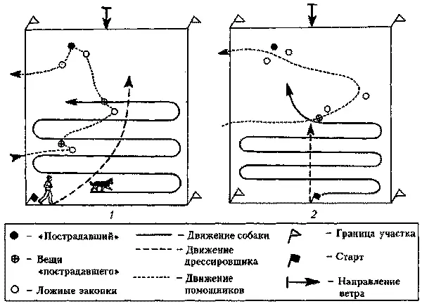 Схемы учебных поисков 1 средний этап пострадавший и две его вещи 2 - фото 10